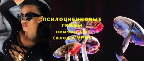 PSILOCYBIN Белокуриха
