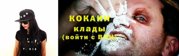 PSILOCYBIN Белокуриха